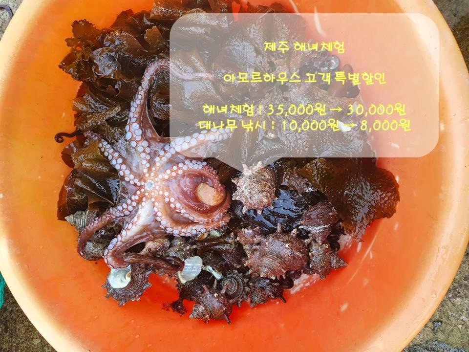Hotel Amor Jeju Esterno foto